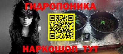 гашишное масло Моздок