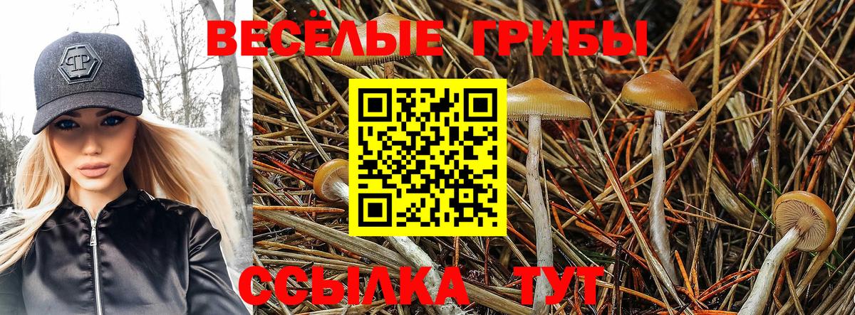 Галлюциногенные грибы MAGIC MUSHROOMS Удомля